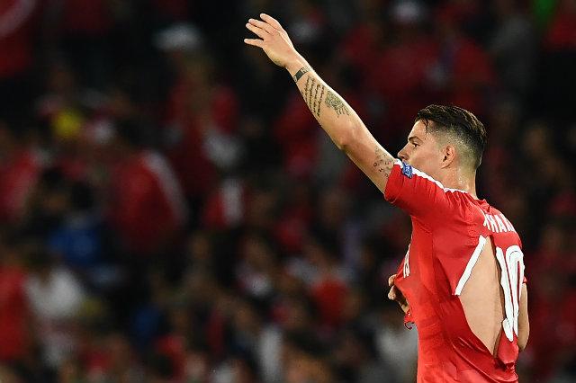 suiza puma suiza puma